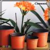 Buy cheap Multifunctional Black Plant Molds Soft Flower Pot Net Pot High Quality from wholesalers