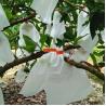 Buy cheap 17gsm 30gsm Apple Protection Bags , Weatherproof Protective Bags For Fruit Trees from wholesalers