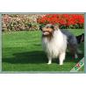 Buy cheap Indoor Synthetic Pet Artificial Turf , Outdoor Carpet Grass Field Green / Apple Green from wholesalers