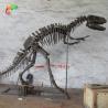 Buy cheap landscape decoration Outdoor Yangchuanosaurus Skeleton Dinosaur Replica Fossil from wholesalers