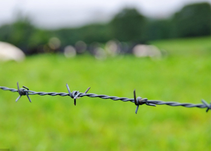 Use Of Prison Walls Anti Climb Galvanized Barbed Wire Roll