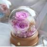 Buy cheap Wholesale Rose Preserved Flower in Glass Dome Flower for Valentines Day rose gift from wholesalers