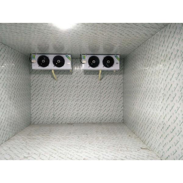 Customized Easy Assemble Cold Storage Room For Meat Auto - Defrost Type