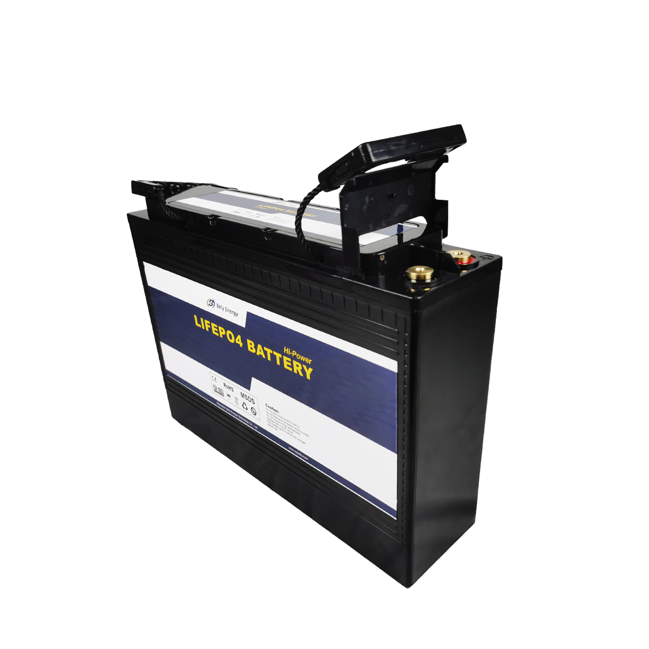 OEM 1536Wh 60000mah Lifepo4 24v Marine Battery For Golf Cart