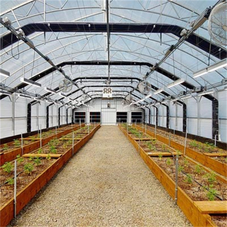 High Production Effect Easy Install Medicine Planting Blackout Light Dep Deprivation Greenhouse Light Deprivation