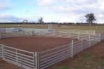 Livestock Panels 6 Oval Bar Low Hog Wire Fencing Cattle Galvanized Livestock