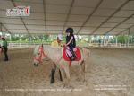 Transparent Aluminum Frame Sporting Event Tents for different sports