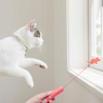 Interactive Relief Laser Tickle Cat Stick Pet Supplies Cat Toy Design Projection