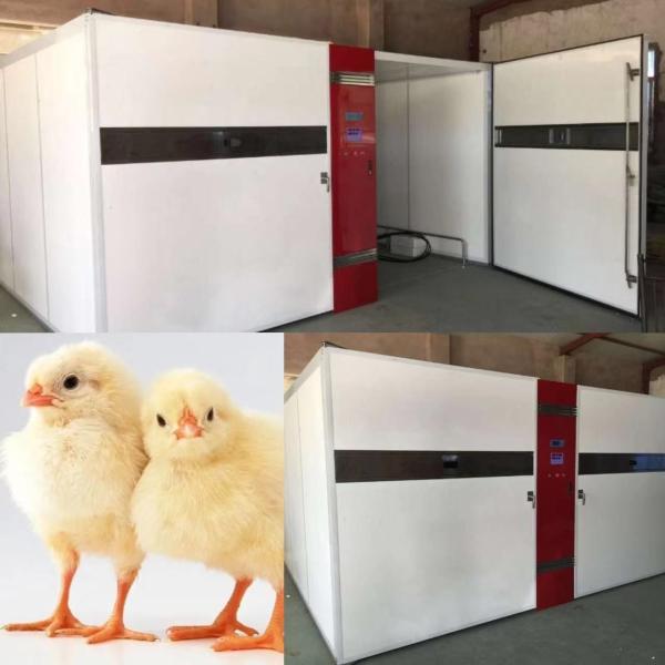 Buy cheap LED Digital Display Chicken Hatching Machine 50kg from wholesalers