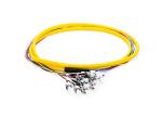 FCUPC 12 core Singlemode Fiber Optic Pigtail Staggered Or Same Length