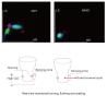 Buy cheap Colorimetric Clinical Analytical Instruments Hematology Portable Blood Analysis Machine from wholesalers