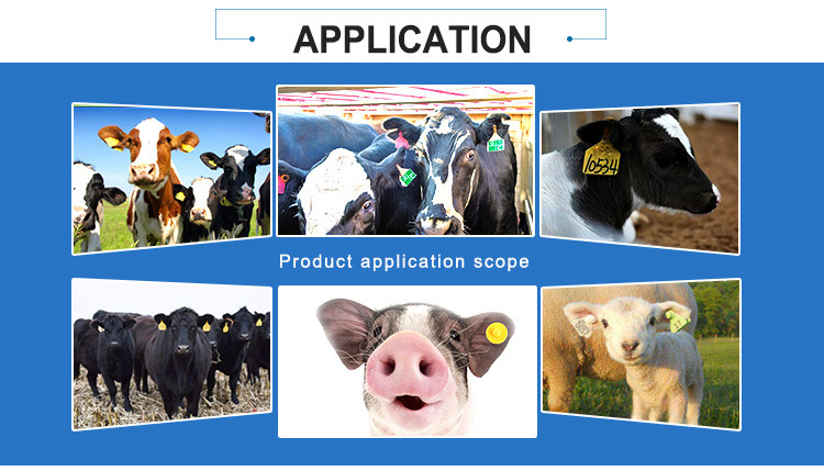 PP PE Livestock ID Tags Engravable Ear Tags For Cattle Moisture Proof