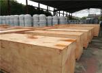Automotive Industry Compressed Air Storage Replacement Tanks High Pressure