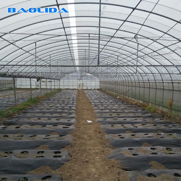 Buy cheap Vegetables Seeds Plastic Film Greenhouse Ventilated Multi Span Sheet Covering from wholesalers