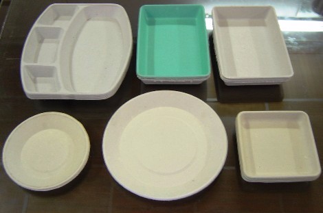 Automatic Pulp Molding Tableware Machine 100KW Bagasse Plate Making