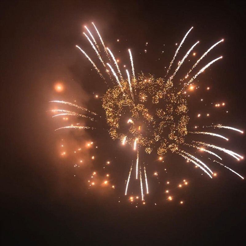 Liuyang Factory Wholesale Supplies Mandarin Professional Display Firework 4 Inch Display Shells Fireworks 1.3g Pyrotechnics