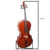 Buy cheap 4/4, 3/4 Antique Oil Varnish Professional Advanced Cello (CH500VA) The cello is about twice as long as the violin, about from wholesalers