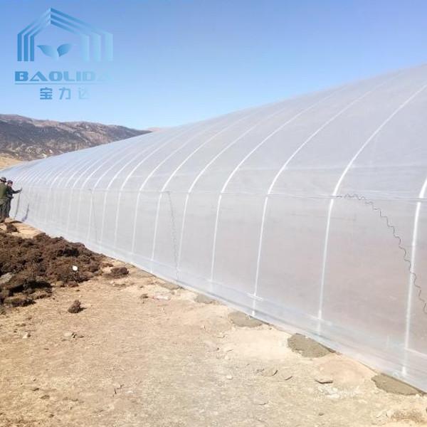 Buy cheap Two Side Net Tunnel Plastic Greenhouse Insect Proof With Air Conditioner from wholesalers