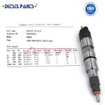 Buy Common Rail Diesel Injector 0445120391 0 445 120 391 for WEICHAI WP10 CNHTC