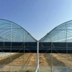 Maximize Your Tomato Yield with Anti-Drip Technology Greenhouse and Temporary