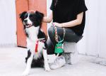 Fabric Puppy Dog Poop Bag Holder Pet Waste Bag Dispenser For Home Leash