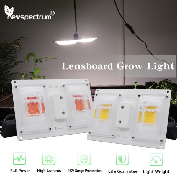 Buy cheap Advanced Aluminum COB Grow Lights For Professional Cultivation from wholesalers