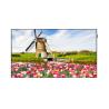 Buy cheap OH55F Single Sided 5000 Nits Sunlight Readable Digital Signage from wholesalers