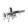 Buy cheap Online Stainless Steel Conveyor Belt Weight Sorting Machine from wholesalers