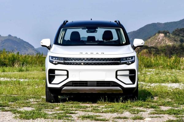 Buy cheap 4 Wheel Pickup EV Car 4 Doors Electric Transport Vehicle Geely Radar RD6 185 km/h from wholesalers