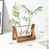 Buy cheap Wholesale Plant Terrarium with Wooden Stand Bulb Glass Vase Retro Tabletop for Hydroponics Home Garden Office Decoration from wholesalers