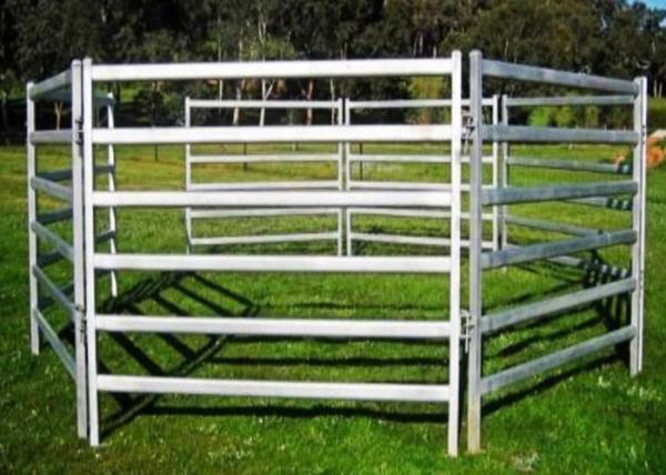 Buy cheap Eco Friendly White Color Sheep Fence Panels 1000X2100mm By Square Tube from wholesalers