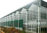 Buy cheap Agricultural Polycarbonate Sheet Greenhouse Double Arch Multi Span Structure Frame from wholesalers