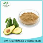High Quality Avocado Spray-Dried Fruit Instant Powder Avocado Fruit Extract
