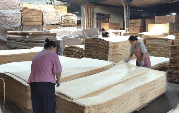 Buy cheap 0.25-0.5mm Russian Birch Veneer Rotary Cut Wood Veneer 1270x2500mm from wholesalers