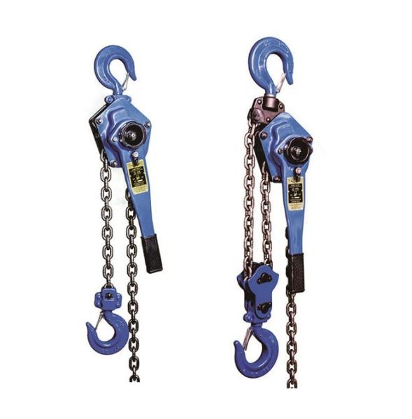 Buy cheap Chain Type Handle Hoist Chain Pulley Block For Tower Erection from wholesalers