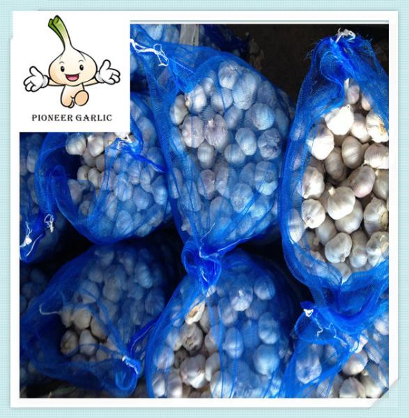 Buy cheap Best selling 2016 New crop fresh garlic SUPER GARLIC WITH LOW PRICE from wholesalers