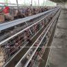 Buy cheap Efficiency Layer Battery Cage Price In Nigeria Emily from wholesalers