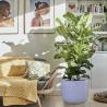 Buy cheap Grey Mottle Lightweight Tall Oval Concrete Planter Pots | Unique Design | Handicraft | UV-Resistant and Eco-Friendly from wholesalers