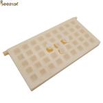 Apicultur Equipment Queen Rearing Beekeeping Queen Bees Storage Box
