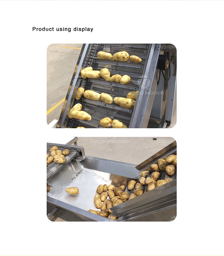 Commercial Electric Vegetable Elevator Machine Food Processor