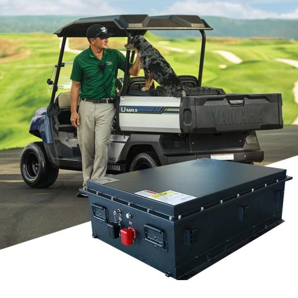 Club Car Golf Cart Lithium Battery 125Ah 51.2V LiFePO4 Battery 4000 Times Cycle