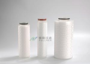 Wholesale Particulate Removal PES Micro Pleated Filters , Precision Pleated Water Filter 0.45um from china suppliers
