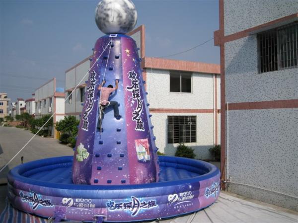 Buy cheap Violet Giant Inflatable Sports Games Amusement Park Equipment Violet from wholesalers