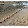 Buy cheap Fully Automatic Animal Feeders Plastic Chicken Feeders And Drinkers from wholesalers