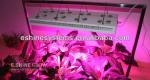 Eshine 3G Diamond series 200X3W full spectrum led grow light Panel Grow Lamps