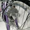 Buy cheap Purple / Beige / Light Green Vintage Single Speed Ladies Bike 22/24 Inch from wholesalers