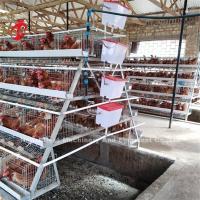 Buy cheap 4 Tiers Layer Chicken Battery Cages Automatic In Uganda Ada product