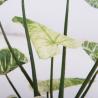 Buy cheap Green Artificial Potted Floor Plants For Garden Philodendron Birkin from wholesalers