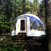 Buy cheap Diameter 6m Glamping Igloo Tent Round Transparent Luxury Giant product