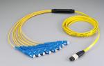 Buy cheap Fan Out Fiber Cable Assembly 12C/24C MPO-SC Low Loss MTP Male Connector 1310 from wholesalers